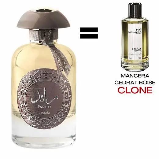 RAED LATTAFA SILVER
رائد سيلفر من (لطافة)