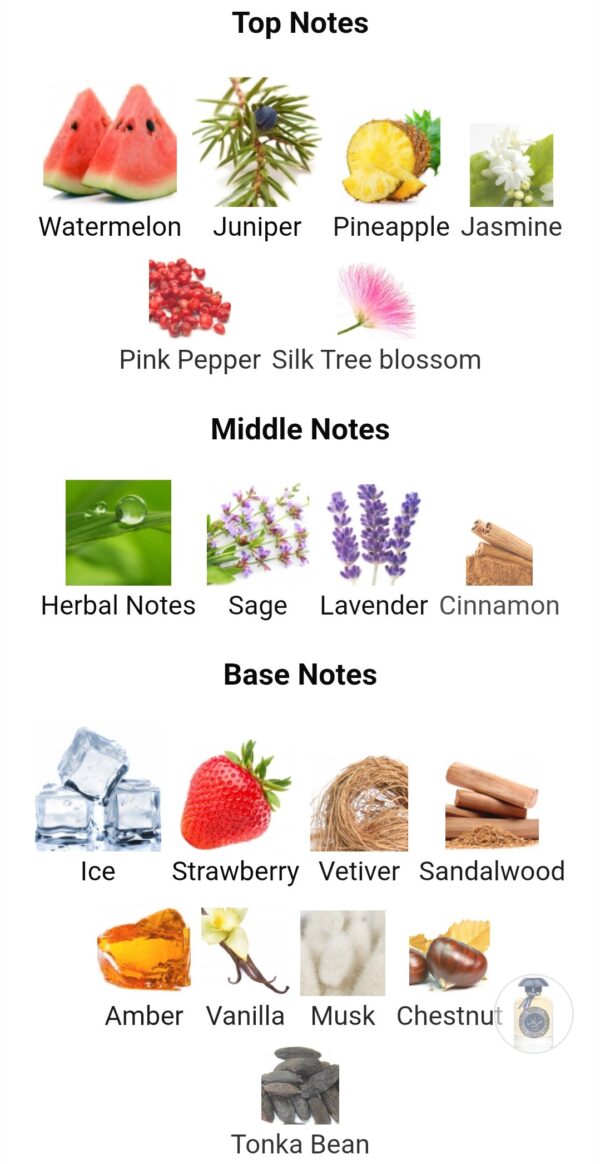 RAED LUXE
رائد لوكس من (لطافة)