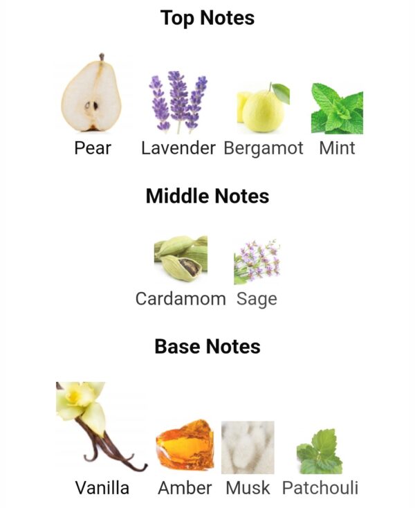 RAMZ LATTAFA SILVER
رمز لطافة سيلفر