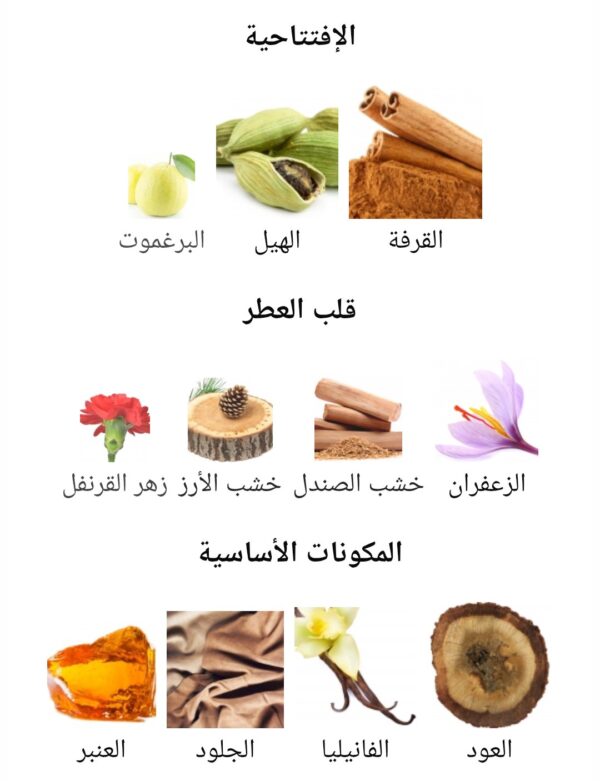 QAA'ED LATTAFA
قائد من (لطافة)