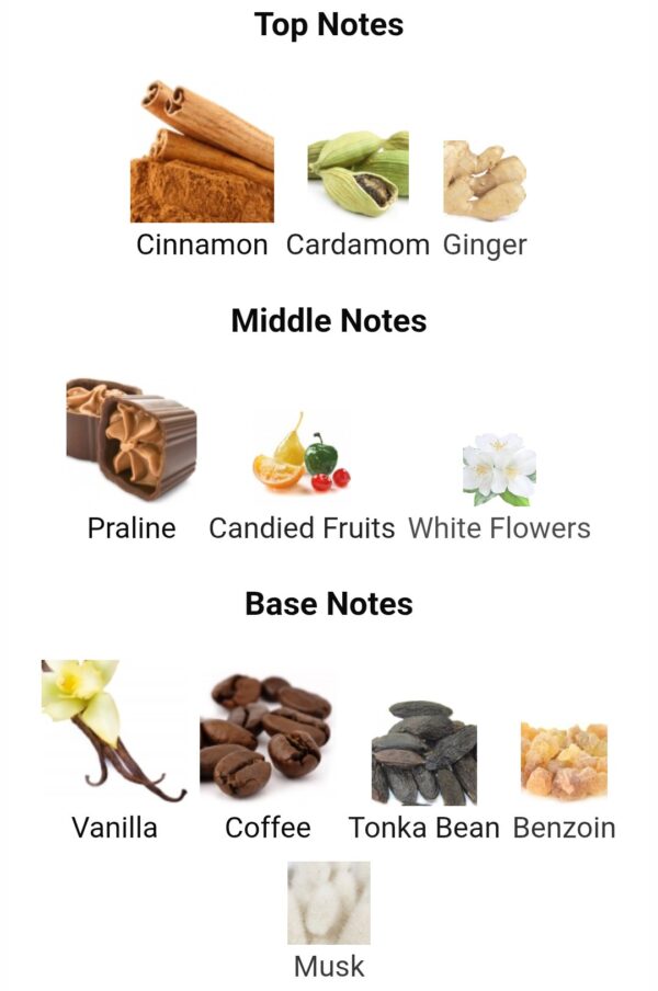 KHAMRA QAHWA 100ml
خمرة قهوة من لطافة ١٠٠ملي