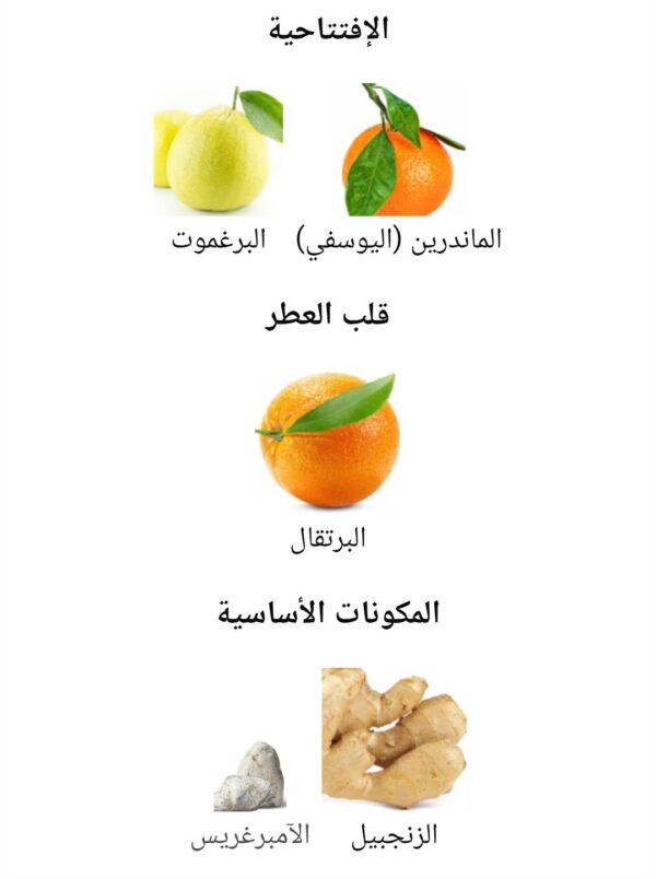 JEAN LOWE AZURE
جين لوي اذور من (ميزون الهامبرا)