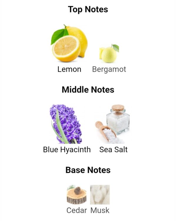 ATLANTIS BLUE (10ML)
أطلانتس (اصداف -لطافة) ١٠ملي