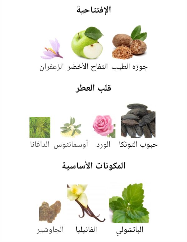 CASSIUS
كاسيوس من ( ميزون الهامبرا)