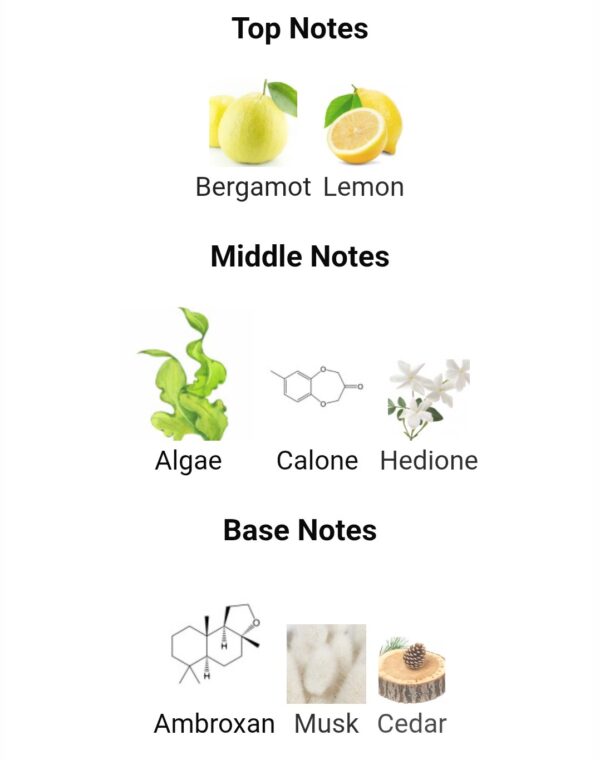 MEGARA (50ML)
ميجارا من ( ميزون الهامبرا) ٥٠ملي