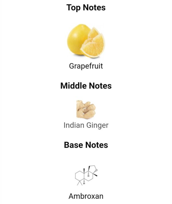 Sceptre Bronzite 100ml
سكيبتر برونزيت من الهامبرا ١٠٠ملي