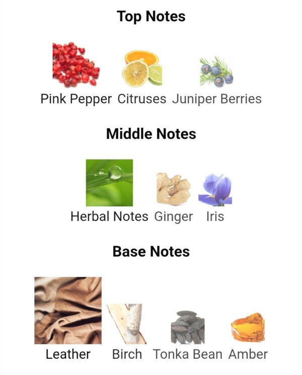 Saphire Leather Ibraq 150ml
سفاير ليذر من ابراق ١٥٠ملي