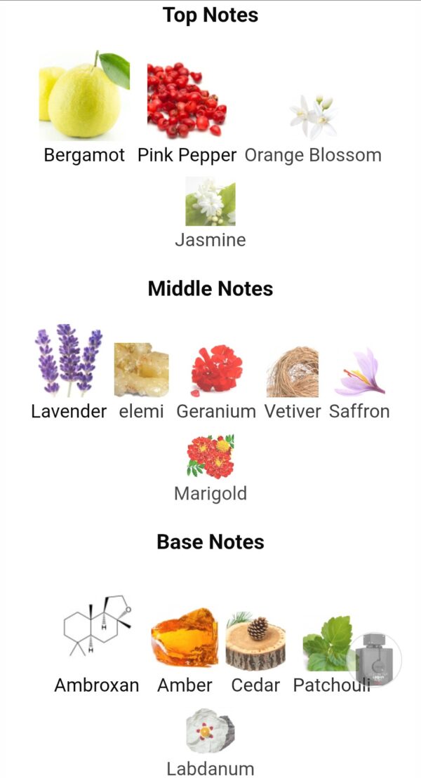 Club De Nuit  Urban Man Elixir
اربان مان اليكزير كلوب دي نوي ارماف