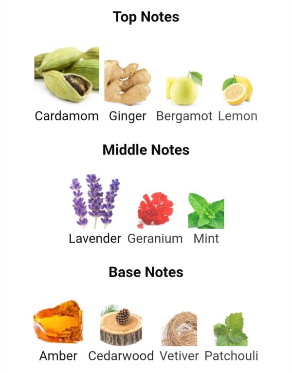 ALNASHAMA CAPRICE (10ML)
النشامة كابريس (١٠ ملي)