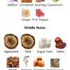COCOA MORADO FA
كوكوا مورادو من ( فرينش اڤينو )
