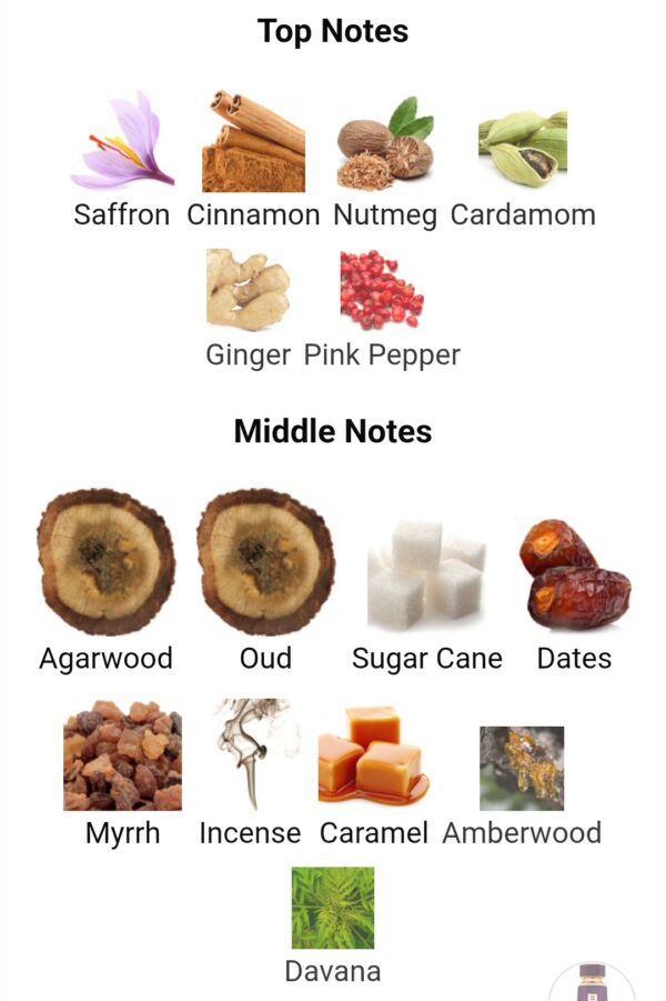 COCOA MORADO FA
كوكوا مورادو من ( فرينش اڤينو )