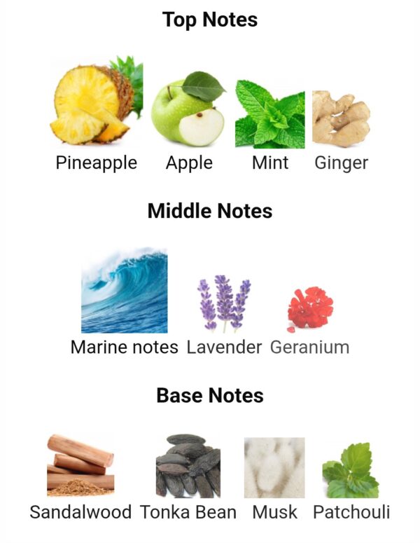 NAJDIA INTENSE
نجديه انتنس من (لطافة)