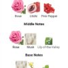 MOHRA SILKY ROSE (10ML)
مهرة سيلكي روز ( ١٠ ملي ) من لطافة
