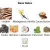 COCOA MORADO (10ML)
كوكوا مورادو (١٠ملي)