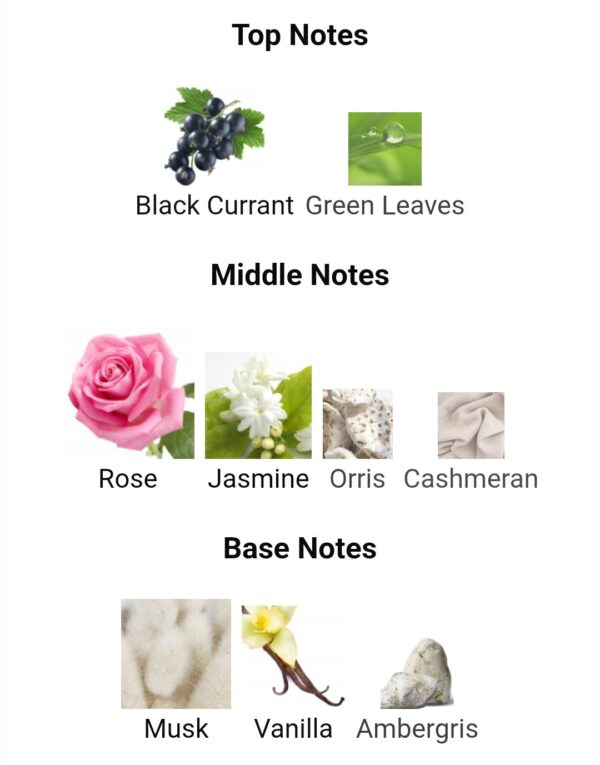 MISS LAVERNE (100ML)
ميس لافيرن (١٠٠ملي)