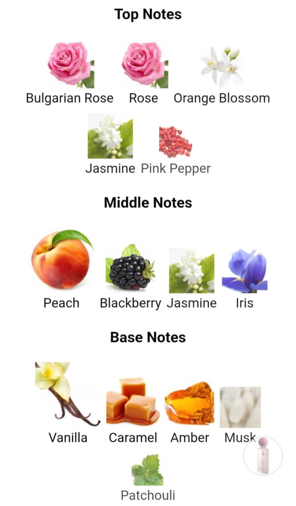 Miss Laverne Bloom (100ML)
ميس لافيرن بلوم (١٠٠ملي)