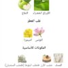 NAUTICA VOYAGE 
نوتيكا فوياچ