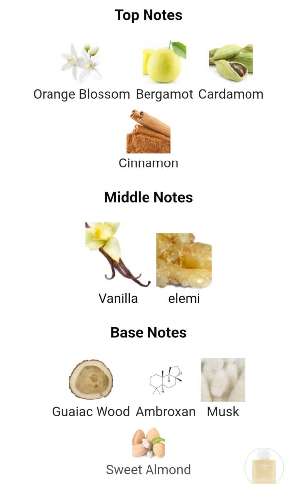 Sun Musk 75ml Ibraq
مسك الشمس ٧٥ملي من ابراق