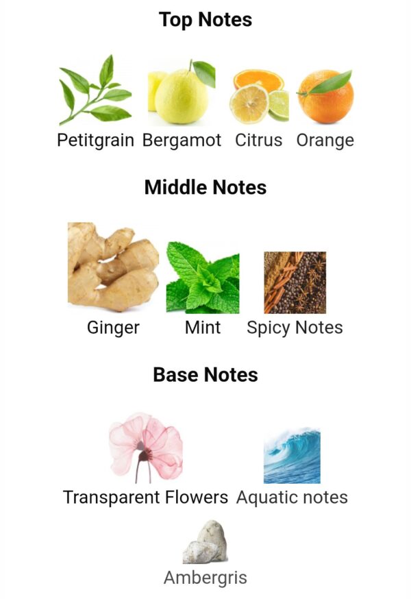 Essence De Blanc FA
ايسينز دي بلونك من فرينش افينو