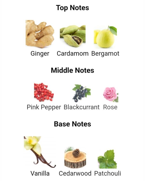 Spectre Ghost FA
سبيكتر جوست من ( فرينش أڤينو )