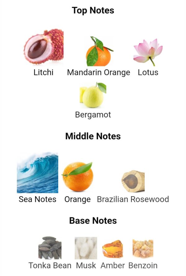 Dunhill Desire Blue EDT (150ml)
دانهل ديزاير بلو (١٥٠ملي)