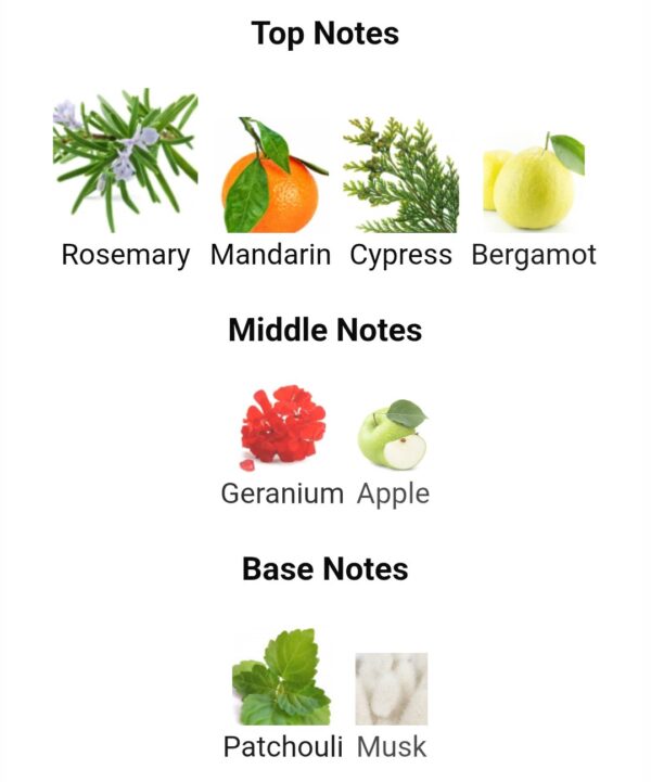 RAES LUXURY (180ML)
حاله خاصه تخص عيب صناعه ( سيتم فتح السلوفان وربط العطر جيدا بلاصق  )