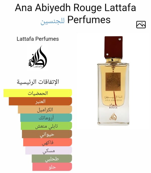 ANA ABIYEDH ROUGE 60ml
أنا الأبيض روچ ٦٠ملى