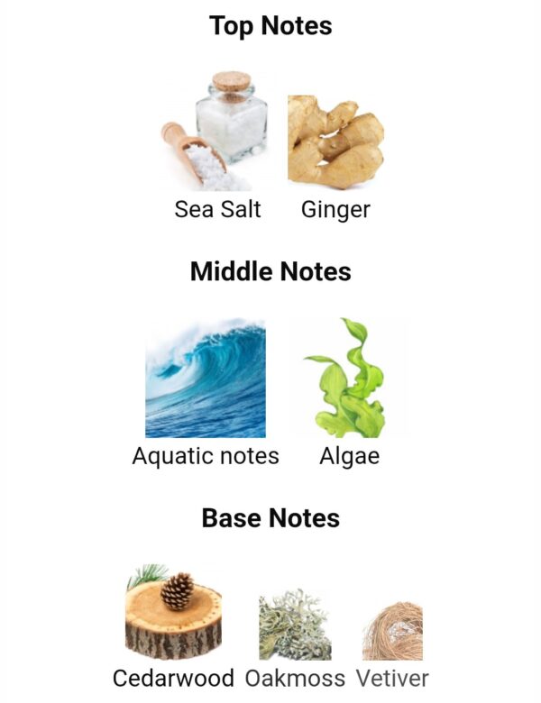 Zodiac Solmaris Paris Corner
زودياك سولميريس من (باريس كورنر )