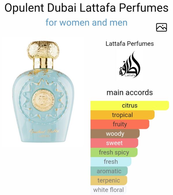 OPULENT DUBAI
اوبلينت دبي من لطافة