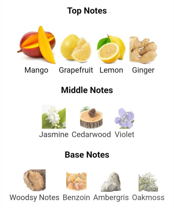 OPULENT DUBAI
اوبلينت دبي من لطافة