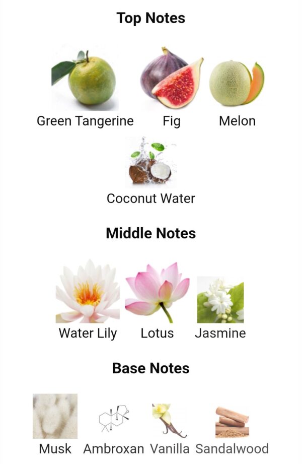 Mayar Natural Intense
ميار ناتشورال انتنس من لطافة