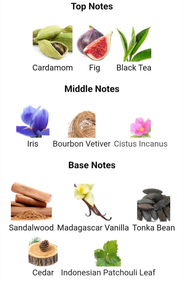 AL NOOR
ال نور من عربيات بريستيچ