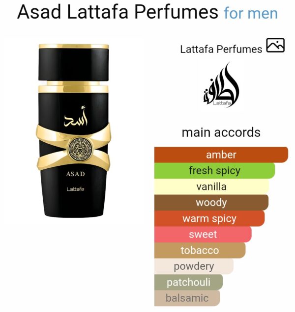 ASAD
اسد من لطافة