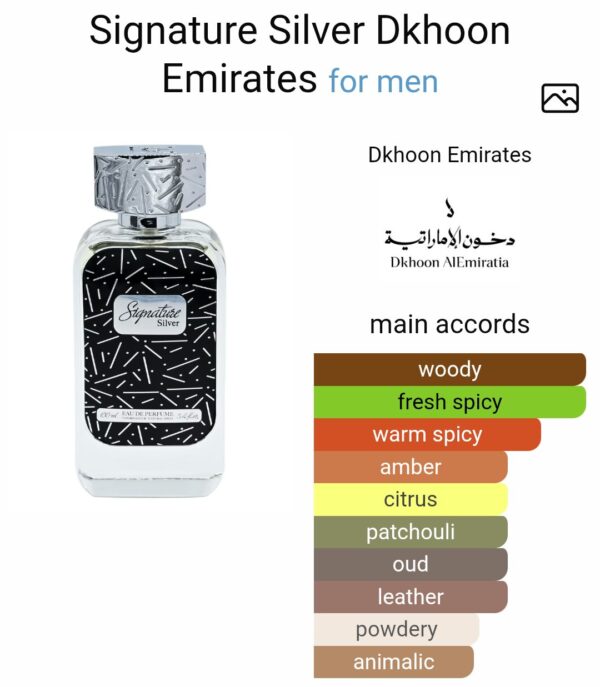 Signature Silver Dkhoon
سجنتشر سيلفر من دخون الايمارتيه