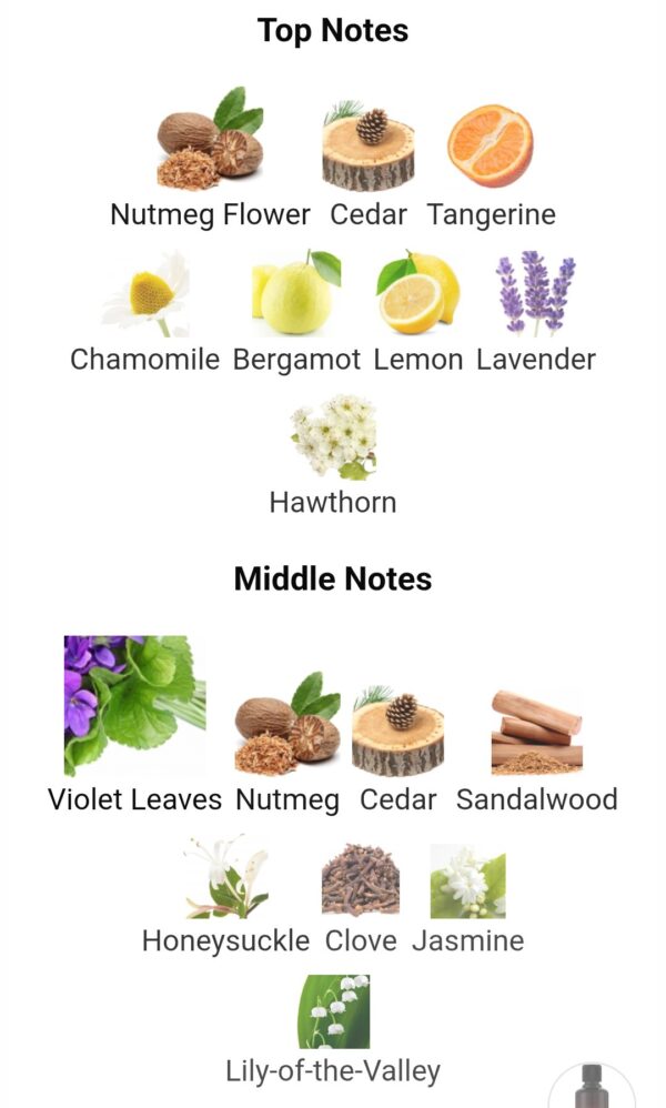 Fortnight For Men
فورتنايت فور مين من ميزون الهامبرا