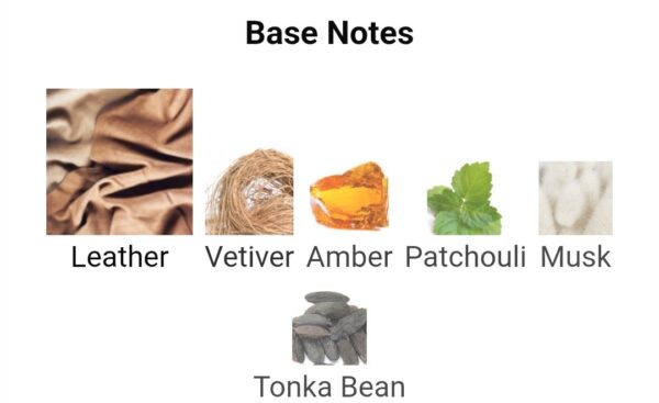 Fortnight For Men
فورتنايت فور مين من ميزون الهامبرا