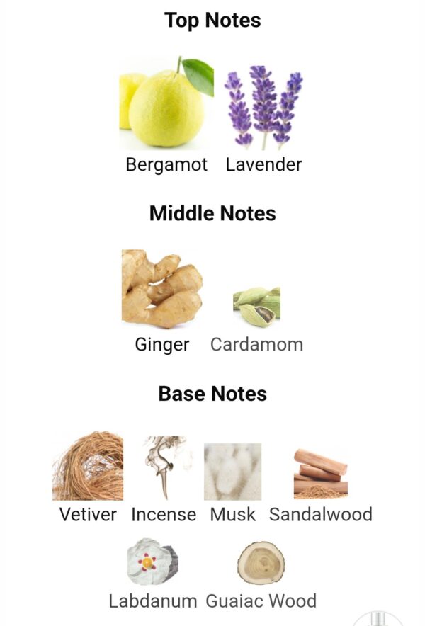 No.2 Men
نوم تو مين من ميزون الهامبرا