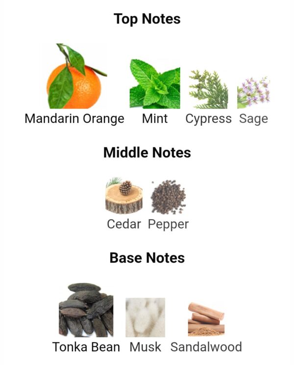 ALPINE HOMME SPORT
الباين هوم سبورت من ميزون الهامبرا