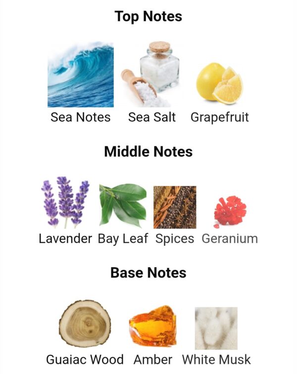 SILVERADO 21 AMARAN
سيلفيرادو ٢١ من اماران