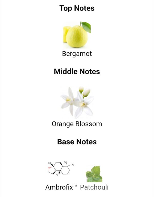 Itqan Noir Zimaya
اتقان نوار من زيمايا