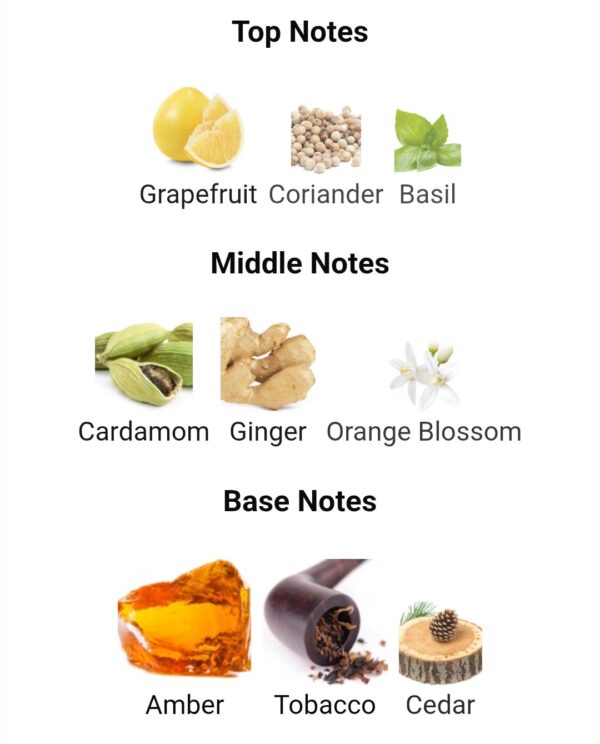 D&G THE ONE EDP (150ML)
دولشي ان جابانا ذا ون (١٥٠ملي) او دو بارفم