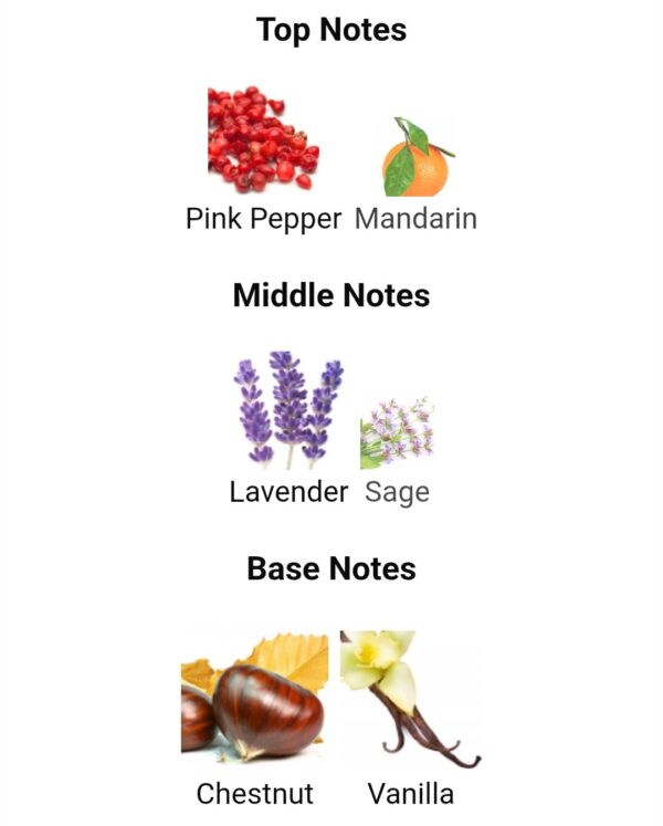 Stronger With You Parfum 100ml
سترونجر وذ يو بارفم ١٠٠ملي