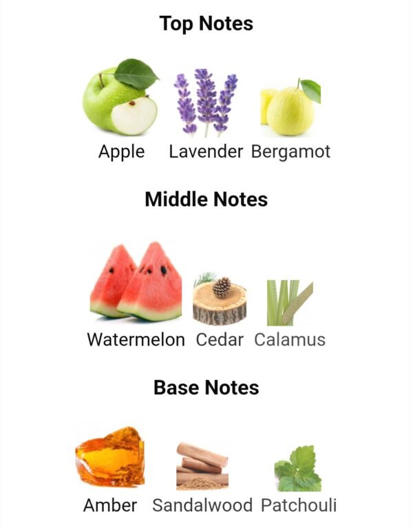 Nitro Red Dumont Paris
نايترو ريد