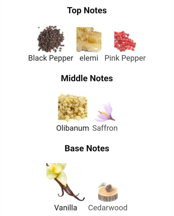 Rifaaqat By Paris Corner
رفاقات من ( باريس كورنر )