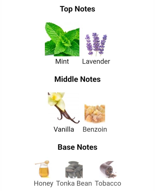 CDN Lion Heart Man Aramaf
كلوب دي نوي لايون هارت مان من اراماف