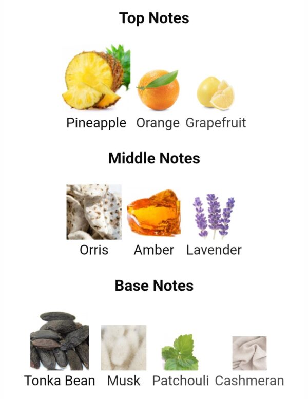 Hawas Malibu  Rasasi UAE
هوس ماليبو من الرصاصي