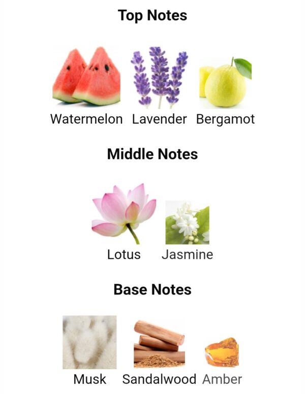 BLU AJMAL 90ml
بلو من اجمل ٩٠ملي