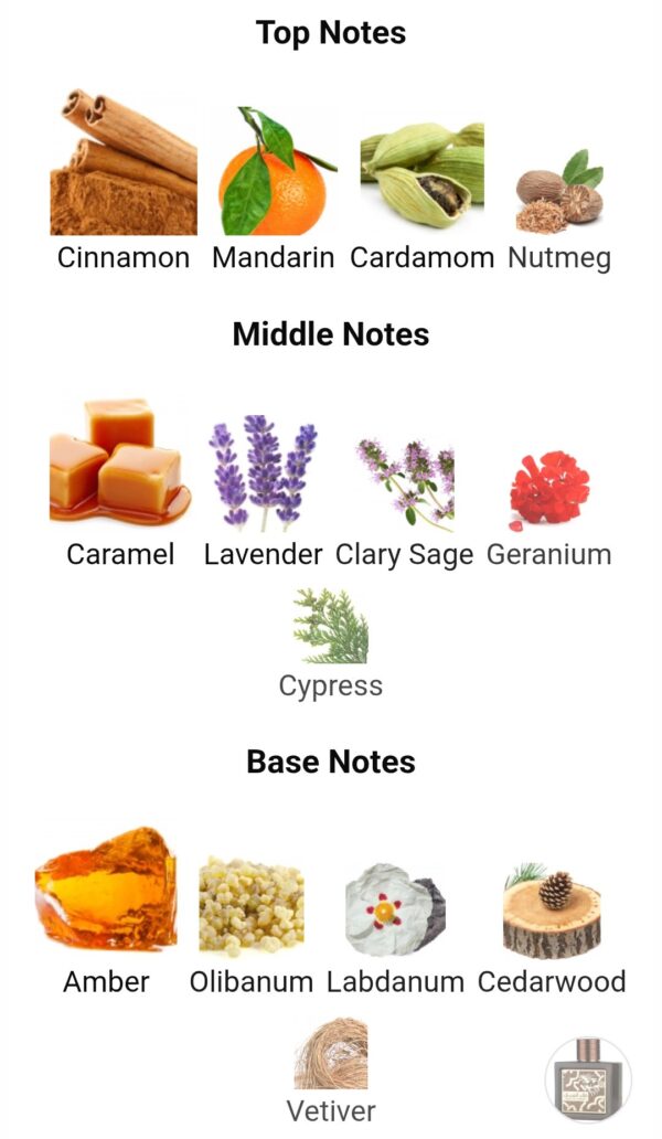 Qaed Al Fursan Untamed
قائد الفرسان انتيمد من ( لطافة )