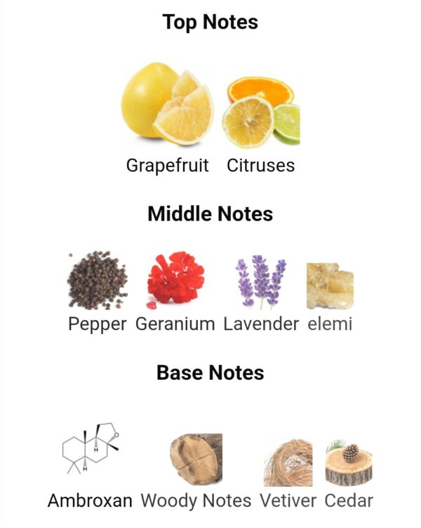 Odyssey Tyrant
اوديسي تايرنت من ارماف