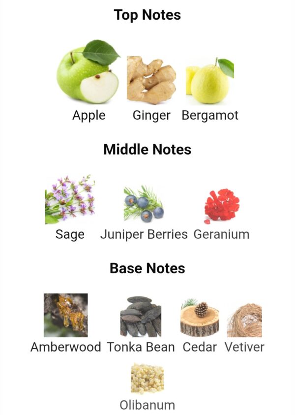 Y EDP Yves Saint Laurent 100ml
واي من ايف سان لوران او دو بارفم ١٠٠ملي